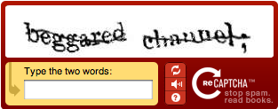 reCAPTCHA example with text
