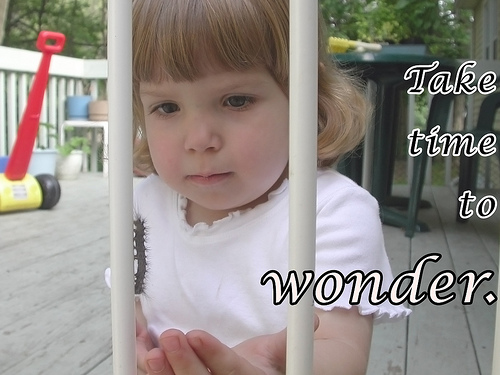 Image of a girl closely examining a caterpillar crawling on a white gate.  Image has the caption 'Take time to Wonder'