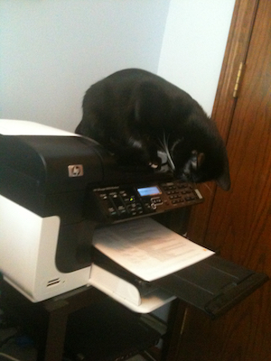 Black cat perched on a printer, appearing to supervise as a document prints out. The cat is intently focused on the printer's operation.